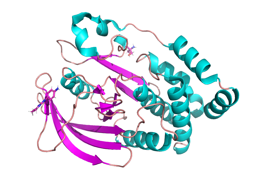 Гистограмма